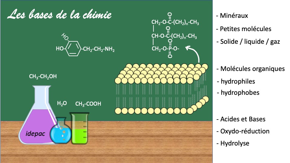 Diapositive1