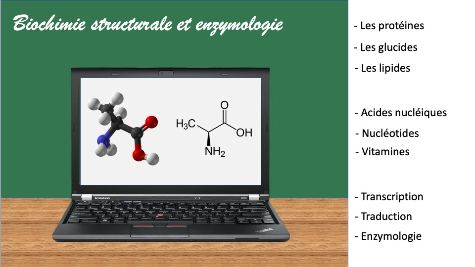 Diapositive8
