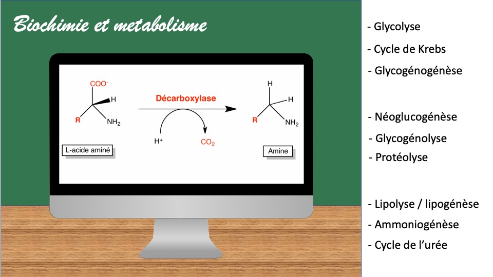 Diapositive9