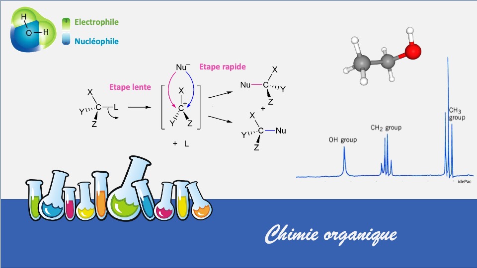 Diapositive2