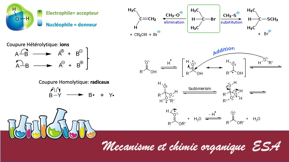 Diapositive8