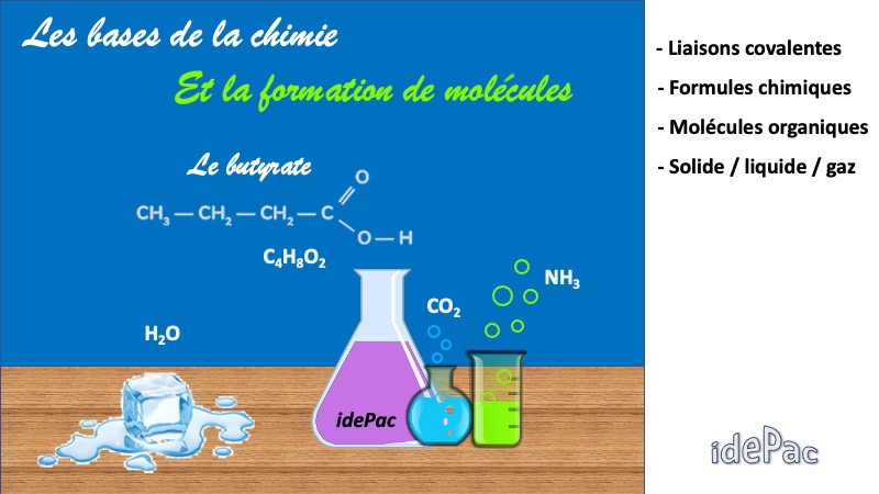 Diapositive3