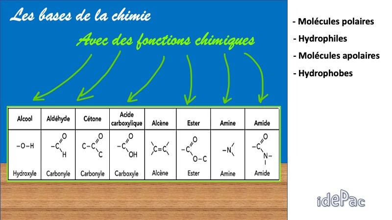 Diapositive4