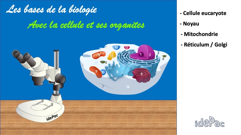 Diapositive9
